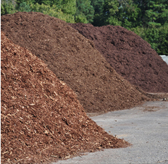Soils and Mulches