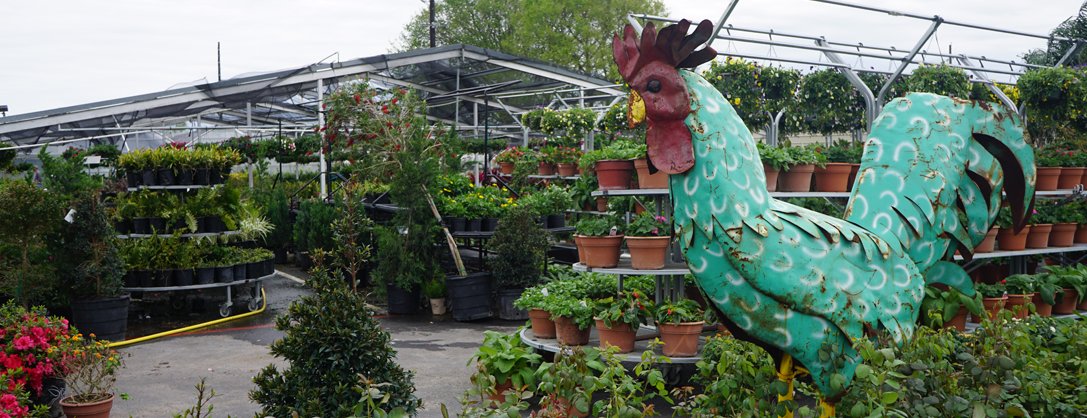 Frank S Nursery Richmond Texas